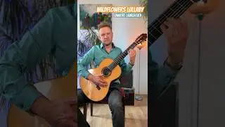 Wildflowers Lullaby-Dimitri Lavrentiev #guitar #music #classicalguitar #lullaby #flow