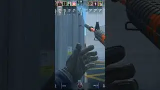CS2 Clutch: When Your Teammates Are Just There for Moral Support 🐢💣 