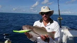 Lizard Island Fishing Trip!! Part 3!!