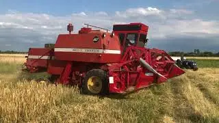 Виїхали на свій ячмінь. Трошки намолотили. Massey Fergusson 487