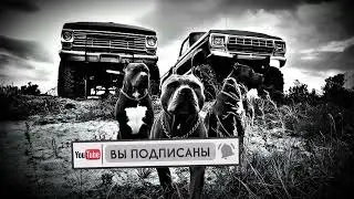 МУЗЫКА С ТЕЛЕГРАМ КАНАЛА ✅КАЙФОВАЯ МУЗЫКА ДЛЯ ПАЦАНОВ | ЛУЧШИЕ ПАЦАНСКИЕ ТРЕКИ 2024 ✅