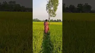 Village life