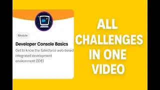 Developer Console Basics Salesforce