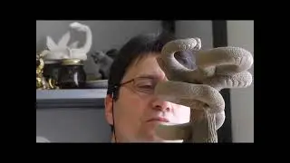 Gordian's Chinelli