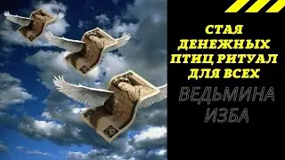 СТАЯ ДЕНЕЖНЫХ ПТИЦ РИТУАЛ ДЛЯ ВСЕХ.  ВЕДЬМИНА ИЗБА ИНГА ХОСРОЕВА.
