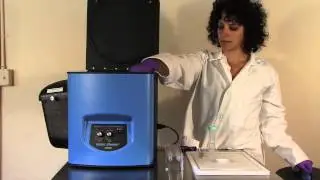 The Bullet Blender Gold