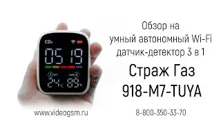 Обзор на многофункциональный Tuya Wi-Fi датчик 3 в 1 автономный  «Страж Газ 918-M7-TUYA»