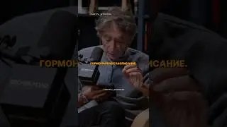 Гормональное расписание 