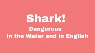 Shark! Dangerous in the Water and in English