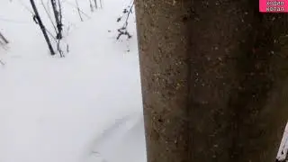 Как искать металлолом с неодимовым 