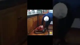 ЗАВОДИТ ПЫЛЕСОС 🤣