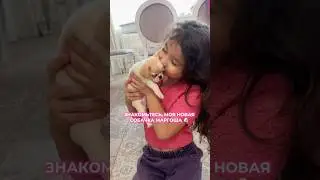 Познакомьтесь с милейшей Маргошей 🐶❤️ 