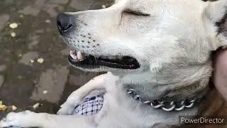 Славянск.29.05.23. Сегодня пришлось...‼️А с ужином то я успела!!