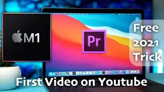 null vid
