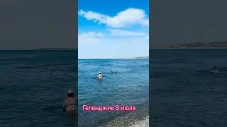 Актуальное видео каждый день!