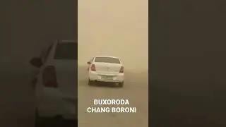 BUXORO VA NAVOIYDA CHANG BORONI HOZRGI VAZIYAT😱😱😱