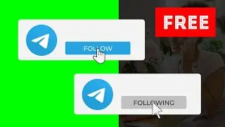 Telegram animation button follow with sound green screen, alpha channel free download