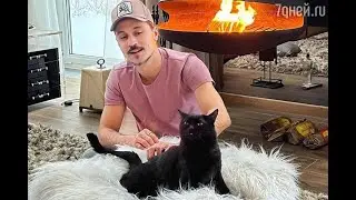 ДУША КОТА БИЛАНА  / РАЙ КОТОВ / КУДА УХОДЯТ ДУШИ КОТОВ.