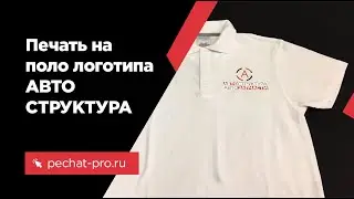 Печать на поло АВТО СТРУКТУРА в ПечатьПро