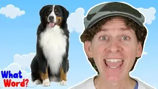 Let's Say Dog | What Word? With Matt | Dream English Kids