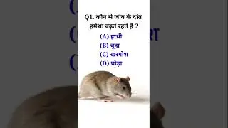 Q. कौन से जीव के दांत हमेशा बढ़ते रहते हैं ? 