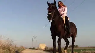 Full Enjoy Horse Riding