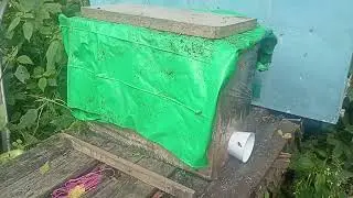Поймал рой пчёл в ловушку Часть 2. Переехали на новое место за 200км.