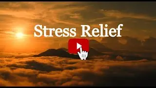 Healing Retreat: Unwind with Soothing Visuals and Sounds
