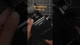 Film vs Digital | Leica, Hasselblad, & Nikon