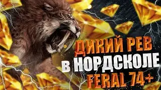 ФЕРАЛ ДРУИД на ХАРДКОРЕ это просто ПРЕКРАСНАЯ ЛОКАЦИЯ ДЛЯ КАЧА 
