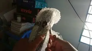 Opening the umbrella packaging.