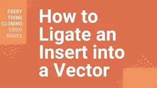 How to Ligate an Insert into a Vector