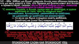 Дуа перед половым сношением с женой
