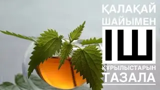 Қалақай(Крапива)шайының пайдасы.Қалақайдан шай