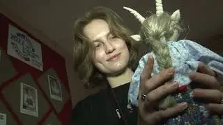 Утренний вестник от 15 ноября
