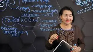 Адам гемоглобині мен миоглобинінің құрылысы мен қызметі. 10 сынып.