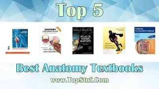 Top 5 Best Anatomy Textbooks 2019 - Learn Anatomy easily!
