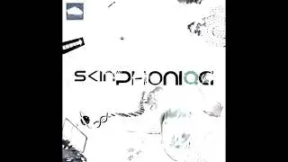 SKINPHONIQA⋰⑪:33♭°22⋱
