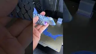 Something fishy wrong with my settings on this beautiful hammerhead shark 🦈 print