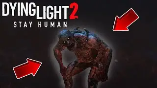 НАС УКУСИЛ ПРЫГУН! ЧТО С НАМИ БУДЕТ? ПРОХОЖДЕНИЕ DYING LIGHT 2: STAY HUMAN #2