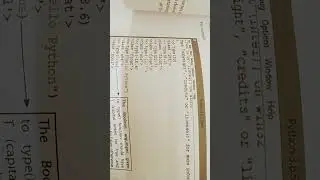 type() function in 
