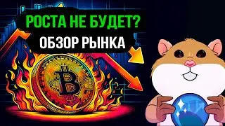 Что будет с Bitcoin? SUI набирает обороты? Обзор рынка