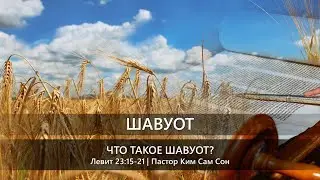 Летний праздник | 1 | Что такое Шавуот?