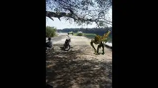 Green screen monster / alien / monster / prehistoric animal / big animal