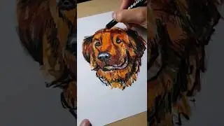 PERRITO 50 min en 5 seg #draw #sketchbook #art #dibujo #dog #puppy #timelapse