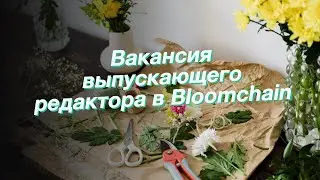 Вакансия выпускающего редактора в Bloomchain