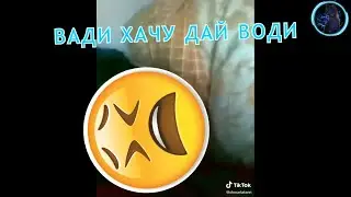 ПРИКОЛЫ 2020 ЛУЧШЫЕ ДО СЛЕЗ // BLACK CAT // УГАР СМЕХ ЮМОР И РЖАКА // ЗАСМАЙСЯ ЧЕЛЕНЖ