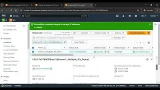 AWS Linux EC2 assign multiple private IPs | Secondary private ips