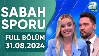 Haldun Domaç: 