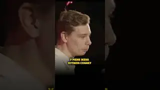 породистая собака - горе в семье 